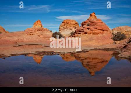 Reflektierenden Pool auf die zweite Welle (Coyote Buttes). Stockfoto