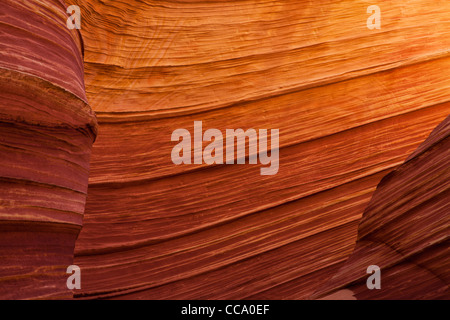 Nahaufnahme der bunten Navajo-Sandstein auf The Wave (Coyote Buttes). Stockfoto