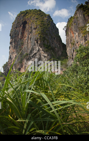 Felsformationen an Ao Phra Nang Andaman Meer Thailand Stockfoto