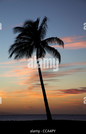 Kahekilli Strand, Kaanapali, Maui, Hawaii. Stockfoto