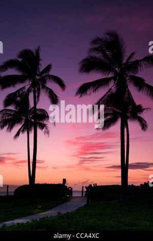 Vor dem Westin Kaanapali und Kahekilli Strand, Kaanapali, Maui, Hawaii. Stockfoto