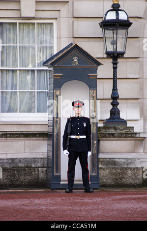 Ein Soldat der Princess of Wales Royal Regiment auf Wache mit SA-80 Gewehr und festen Bajonett, Buckingham Palace, London Stockfoto