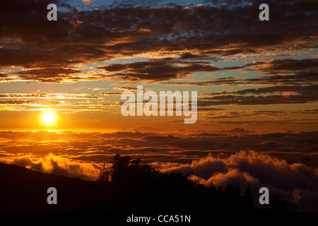 Sonnenuntergang im oberen Bereich Haleakala, Haleakala National Park, Maui, Hawaii. Stockfoto