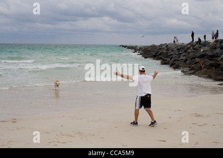 Ein Mann ruft seine goldene Labrador zu ihm, während den Hund im South Pointe Park South Beach Miami neben den Atlantischen Ozean zu Fuß Stockfoto