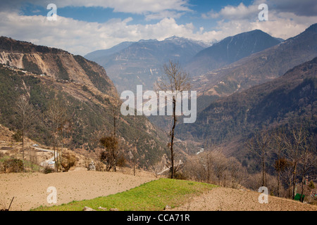 Indien, Arunachal Pradesh, Tawang Tal, abgelegenen Bergdorf oberhalb Jang landwirtschaftliche Felder bebaut Stockfoto