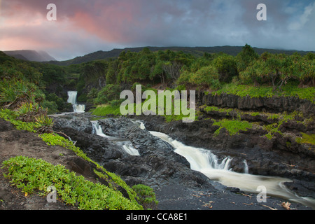 Ohe Gulch - aka sieben Sacred Pools, Haleakala National Park, in der Nähe von Hana, Maui, Hawaii. Stockfoto