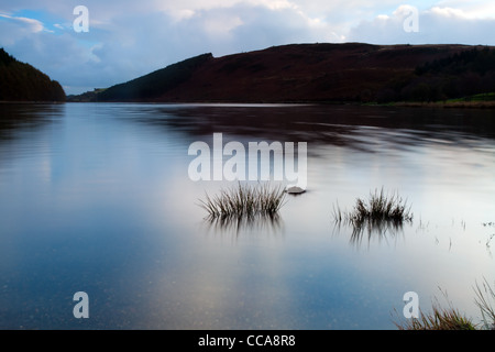 Snowdonia, Llyn Geirionydd im Morgengrauen Stockfoto