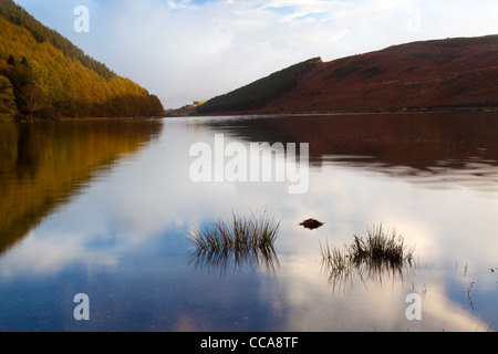 Llyn Geirionydd im Morgengrauen Stockfoto