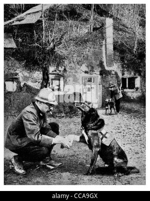 Französische Rote Kreuz Hund verletzt verletzte Pfote gekleidet Binde, die Armee Arzt 1916 mans bester Freund Amtsarzt Rauchen Haustier Hund Stockfoto