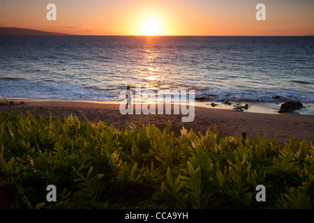 Ein Besucher am Ulua Beach, Wailea, Maui, Hawaii. (Modell freigegeben) Stockfoto