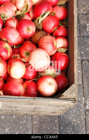 Rote Äpfel in Holzkisten Stockfoto