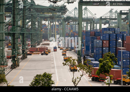 LKW-Transport-Container am Kai des Terminals Brani am Hafen von Singapur. Stockfoto