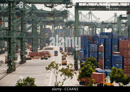 LKW-Transport-Container am Kai des Terminals Brani am Hafen von Singapur. Stockfoto