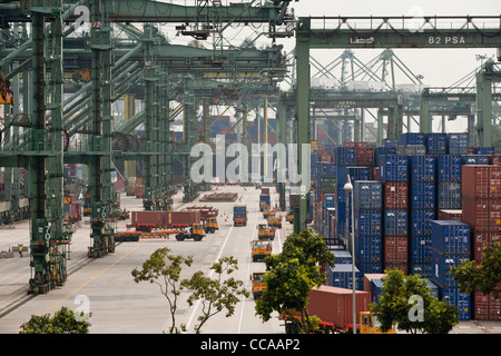 LKW-Transport-Container am Kai des Terminals Brani am Hafen von Singapur. Stockfoto