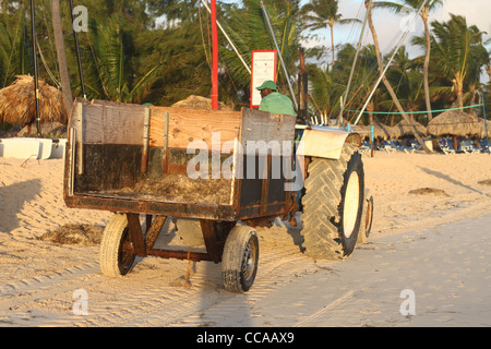 Strand Reinigung LKW am Ferienort in der Dominikanischen Republik Stockfoto