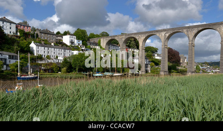 Calstock Eisenbahn-Viadukt Croossing den Fluss Tamar aus Cornwall, Devon Blick stromaufwärts von Ferry Farm auf der Halbinsel Bere Stockfoto