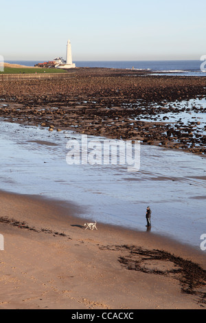 Man Walking Dalmatiens. Hund auf dem sonst leeren Strand mit St Mary's Leuchtturm im Hintergrund North East England Großbritannien Stockfoto