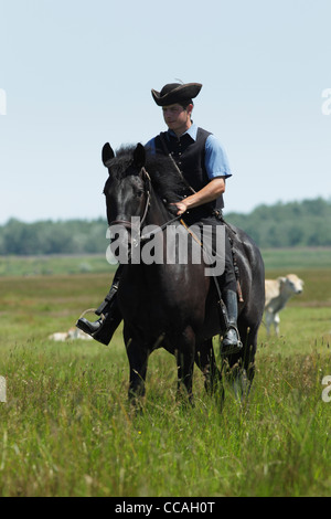 Ungarischen Hirten reitet sein Pferd unter eine Rinderherde grau. Stockfoto