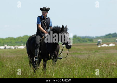 Ungarischen Hirten reitet sein Pferd unter eine Rinderherde grau. Stockfoto