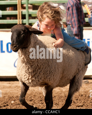 Rodeo, Young Cowgirl Reiten Schafe während Hammelfleisch Zerschlagung Wettbewerb in Idaho Stockfoto