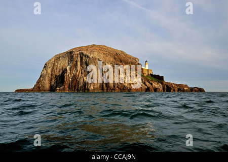 Der Bass Rock, Firth of Forth Stockfoto