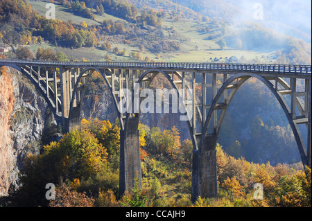 Djurdjevica-Tara-Brücke ist eine konkrete Bogenbrücke über den Tara-Fluss im nördlichen Montenegro. Es wurde zwischen 1937 und 1940 erbaut. Stockfoto