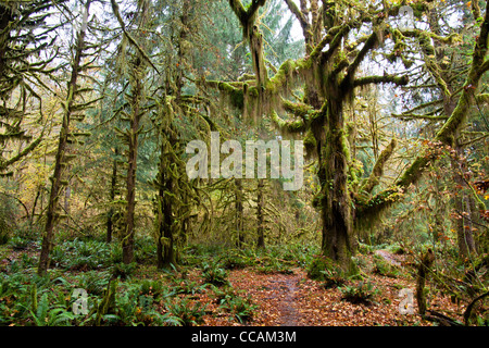 Ein Kletterer ist aufsteigend einige große Sandstein in Red Rock, in der Nähe von Las Vegas in Nevada. Stockfoto
