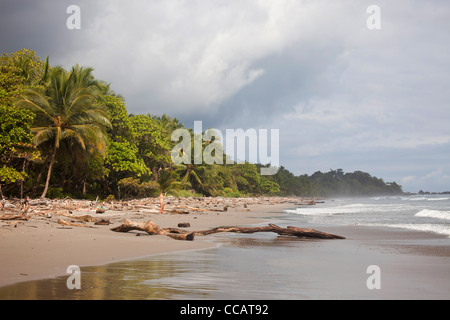 Playa Grande, ein langer Sandstrand in der Nähe von Montezuma, Halbinsel Nicoya, Costa Rica, Mittelamerika Stockfoto