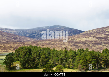 Pass von Drumochter, Straßen- und Rail Pass 452m (1480 Ft), verschneiten im Winter, in der Nähe von Pitlochry, Schottisches Hochland, Grenzen, Schottland Stockfoto