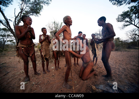 Bushman Menschen Durchführen einer Tanz Festakt Grashoek, Namibia Stockfoto