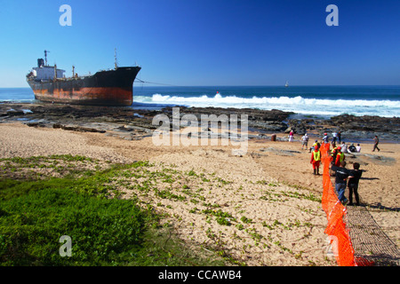 Die MT-Phoenix die Sheffield Beach, nördlich von Durban an der Kwazulu Natal Nordküste, Südafrika lief Stockfoto