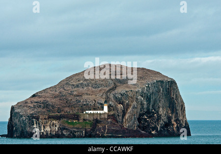 Bass Rock, eine Insel in den äußeren Firth of Forth in Schottland, Vereinigtes Königreich Stockfoto