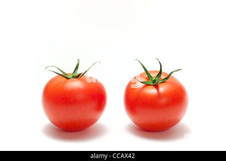 Zwei Tomaten Stockfoto