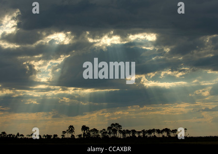 Sonnenstrahlen brechen durch einen grauen, stürmischen Himmel in der Nähe von Jacks Camp, Makgadikgadi Pfanne, Botswana Stockfoto