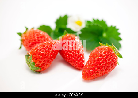 Erdbeeren Stockfoto