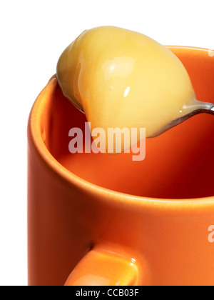 Detail eines Löffels mit cremiger Honig auf eine Tasse. Studio in weißen Rücken geschossen Stockfoto