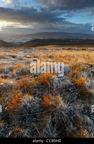 Blick vom Selworthy Leuchtfeuer in Richtung Dunkery Leuchtfeuer an einem frostigen Morgen. Holnicote Estate. Exmoor. Somerset. England. VEREINIGTES KÖNIGREICH. Stockfoto