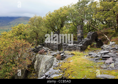 Alte Ruinen von quarryman Cottage in stillgelegten Dinorwig schiefer Steinbruch am Rande der Elidir Fawr Berg. Gwynedd Snowdonia, Llanberis North Wales UK Stockfoto