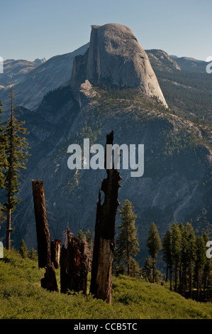 Half Dome betrachtet von der Panorama-Trail Glacial Ausgangspunkt. Yosemite-Nationalpark. Kalifornien. USA Stockfoto