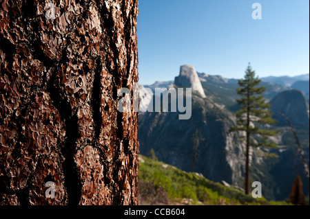 Half Dome betrachtet von der Panorama-Trail Glacial Ausgangspunkt. Yosemite-Nationalpark. Kalifornien. USA Stockfoto