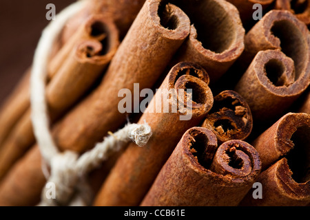 Nahaufnahme der aromatische Zimt sticks für Weihnachten Stockfoto