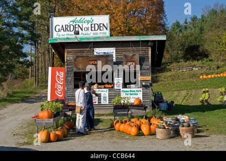 Eden-Vermont Bauernhof stehen Kürbisse für Verkauf Stockfoto