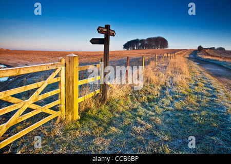 Eine frostige Winter Sonnenaufgang über die lange Distanz Ridgeway Path bei Hackpen Hill, Wiltshire, England, UK Stockfoto