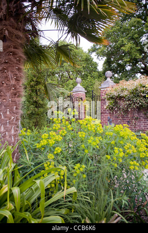 Ummauerten Garten. Stockfoto