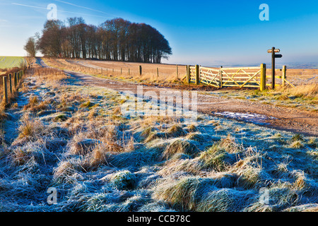 Einem frostigen Wintermorgen über die lange Distanz Ridgeway Path bei Hackpen Hill, Wiltshire, England, UK Stockfoto