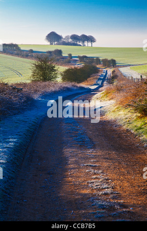 Einem frostigen Wintermorgen über die lange Distanz Ridgeway Path bei Hackpen Hill, Wiltshire, England, UK Stockfoto