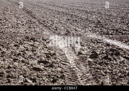Schlammigen Acker. Stockfoto