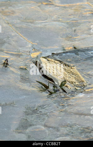 Gebrochenes Eis auf zugefrorenen Teich Stockfoto