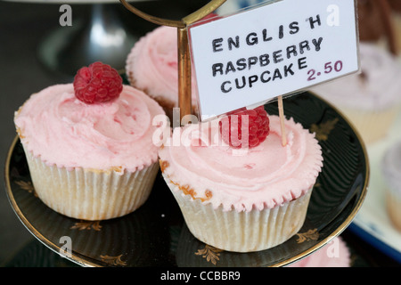drei englische Himbeere Tasse Kuchen auf einem Teller Stockfoto