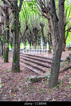 Altern-Treppe im Frühlingspark Stockfoto